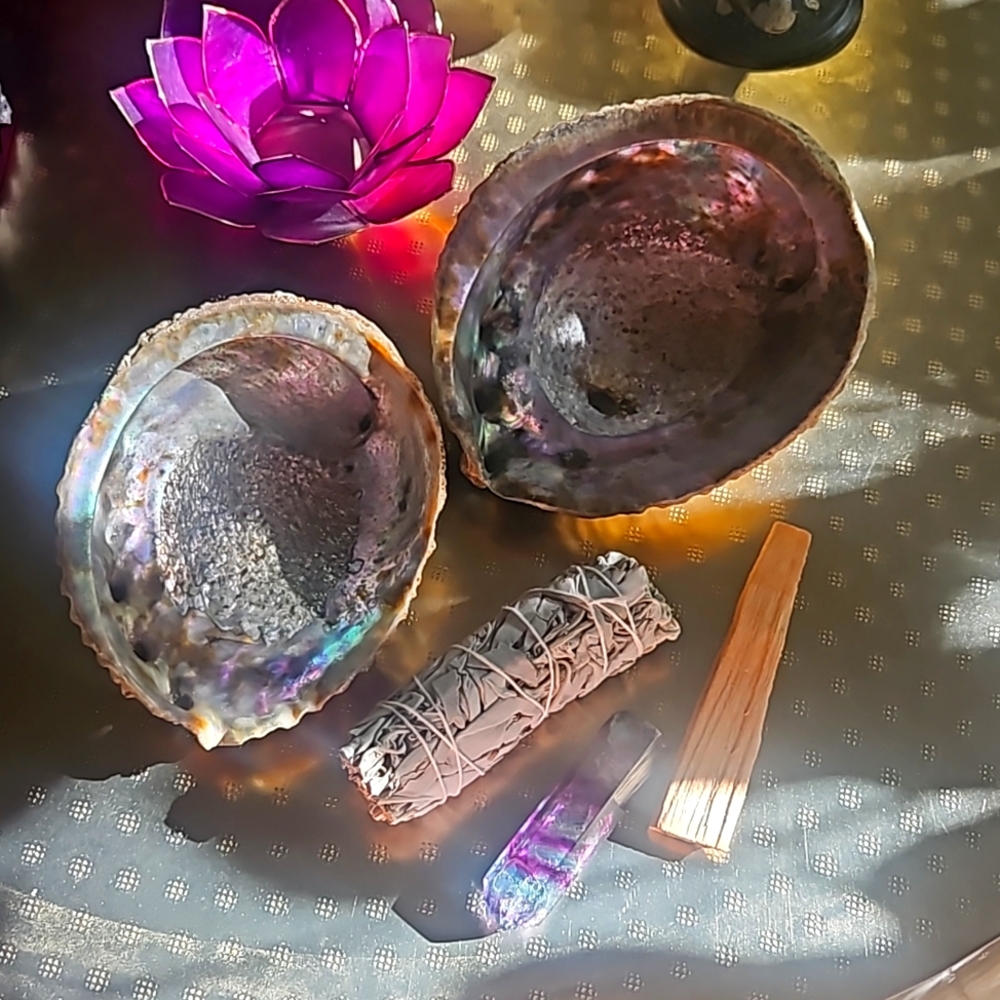 Two abalone shells